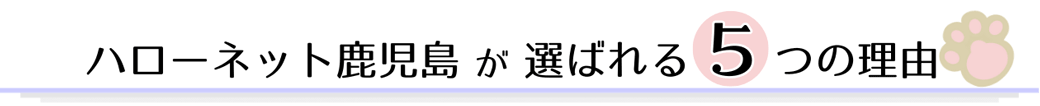 ハローネット鹿児島が選ばれる５つの理由